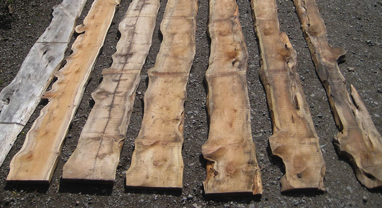 Rough & Dried Timber